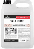 Моющий концентрат против высолов на фасадах Salt Stone PRO-BRITE